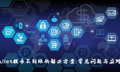 tpWallet提币不到账的解决方案：常见问题与应对策略