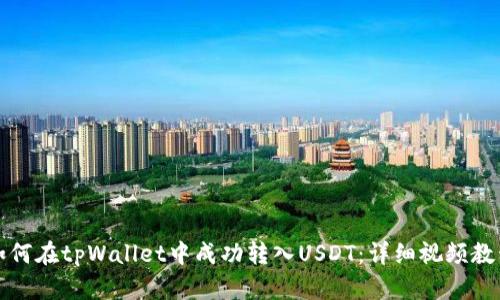 如何在tpWallet中成功转入USDT：详细视频教程