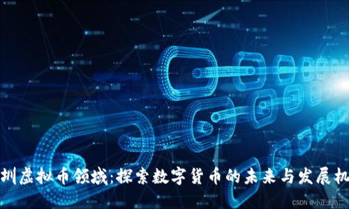 深圳虚拟币领域：探索数字货币的未来与发展机会