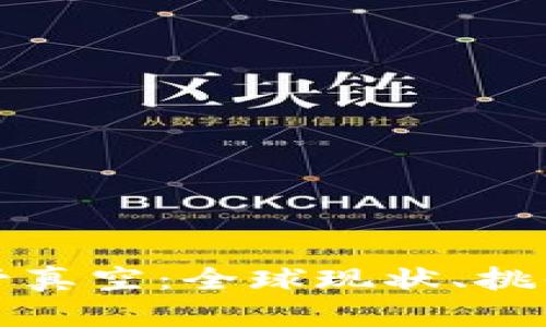 加密货币监管真空：全球现状、挑战与未来展望