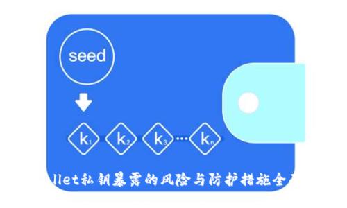 tpWallet私钥暴露的风险与防护措施全面解析