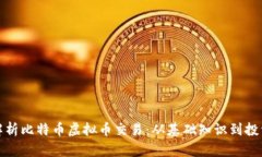 全面解析比特币虚拟币交