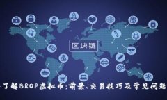 深入了解BROP虚拟币：前景