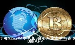 深入了解VPayPC冷钱包：安