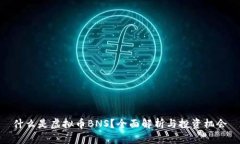 什么是虚拟币BNS？全面解