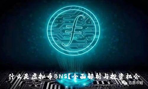 什么是虚拟币BNS？全面解析与投资机会