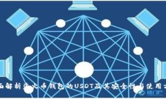 全面解析盗火币钱包的U