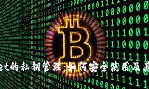 tpWallet的私钥管理：如何安全使用及其重要性