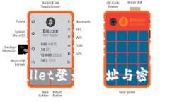 如何使用tpWallet登录：地址与密码的完整指南