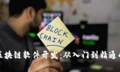 全面解析区块链软件开发：从入门到精通的编程