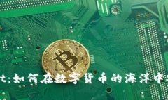 狗币与tpWallet：如何在数字货币的海洋中安全投资