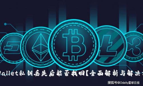 tpWallet私钥丢失后能否找回？全面解析与解决方案