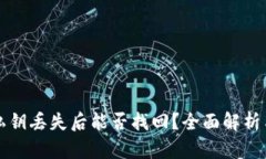 tpWallet私钥丢失后能否找回？全面解析与解决方案