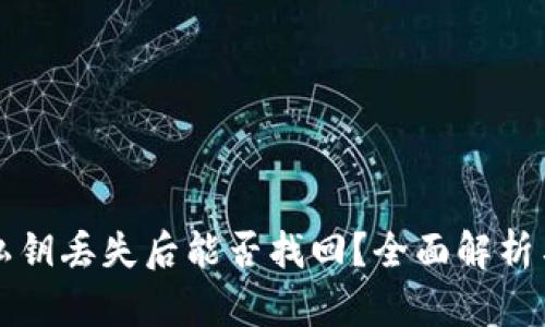tpWallet私钥丢失后能否找回？全面解析与解决方案