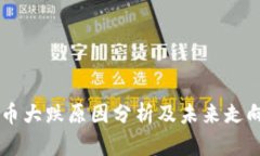 虚拟币大跌原因分析及未来走向展望