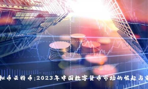 虚拟币云特币：2023年中国数字货币市场的崛起与前景