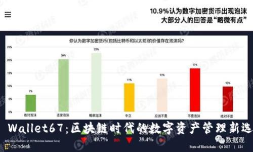 TP Wallet67：区块链时代的数字资产管理新选择
