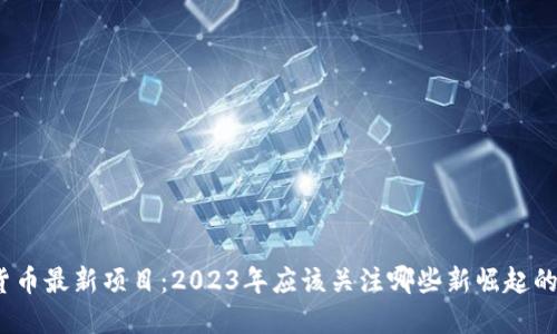 加密货币最新项目：2023年应该关注哪些新崛起的机会？