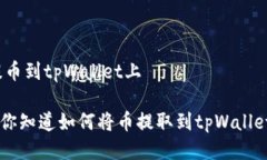 怎样提币到tpWallet上tiaot