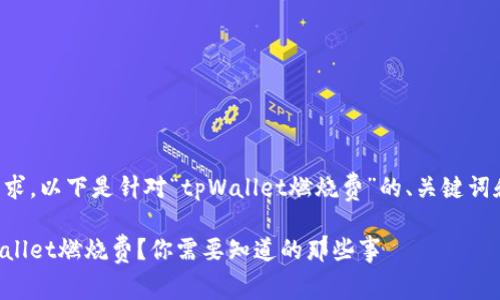 根据您的要求，以下是针对“tpWallet燃烧费”的、关键词和详细内容：

什么是tpWallet燃烧费？你需要知道的那些事