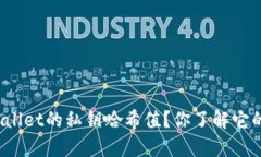 什么是tpWallet的私钥哈希值