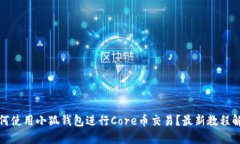 如何使用小狐钱包进行C