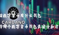 存储数字货币用什么钱包