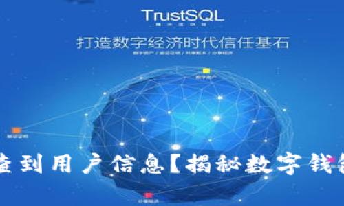 tpWallet能不能查到用户信息？揭秘数字钱包隐私保护的真相