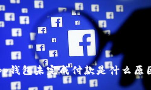 App钱包未完成付款是什么原因？