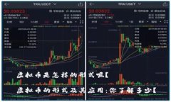 虚拟币是怎样的形式呢？虚拟币的形式及其应用