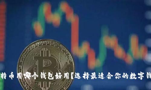 比特币用哪个钱包好用？选择最适合你的数字钱包
