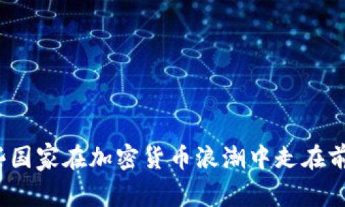 哪些国家在加密货币浪潮中走在前列？