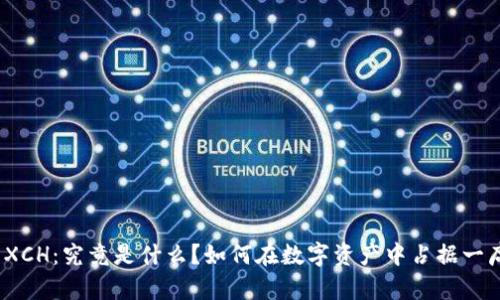 数字币XCH：究竟是什么？如何在数字资产中占据一席之地？