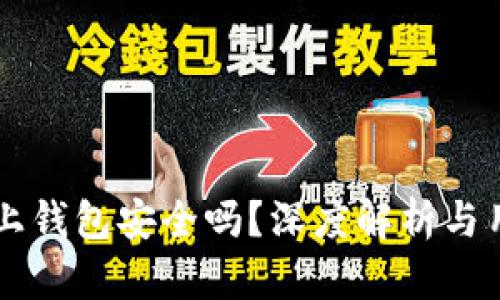 虚拟币上钱包安全吗？深度解析与用户指南