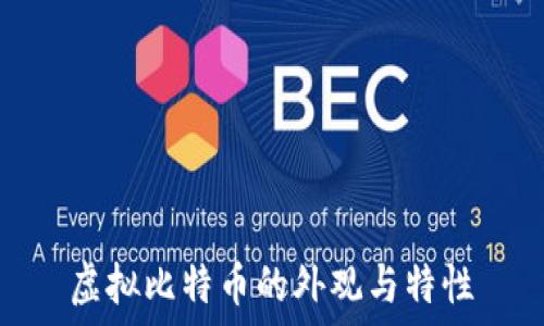   
虚拟比特币的外观与特性