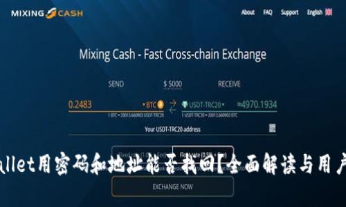 tpWallet用密码和地址能否找回？全面解读与用户指南