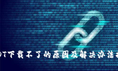 USDT下载不了的原因及解决办法揭秘