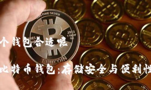 比特币存哪个钱包合适呢

选择适合的比特币钱包：存储安全与便利性的全面指南