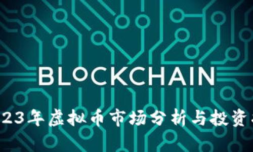  2023年虚拟币市场分析与投资指南