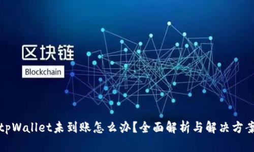 tpWallet未到账怎么办？全面解析与解决方案
