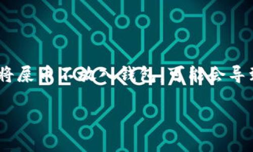 屎币（Shitcoin）是一种通常被认为是价值不高的加密货币，或者是一种投机性货币。如果将屎币不放入钱包，可能会导致一系列的问题和不便，尤其是对于投资者和交易者来说。以下是对这个主题的详细探讨。

不将屎币放入钱包的后果及其影响