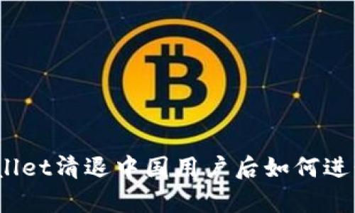 : tpWallet清退中国用户后如何进行交易？