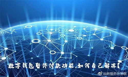 数字钱包暂停付款功能，如何自己解冻？