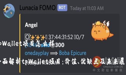 tpWallet项目怎么样

全面解析tpWallet项目：价值、优缺点及未来展望