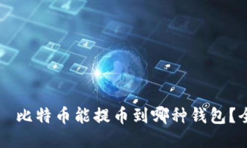 лина比特币能提币到哪种钱包？全面指南