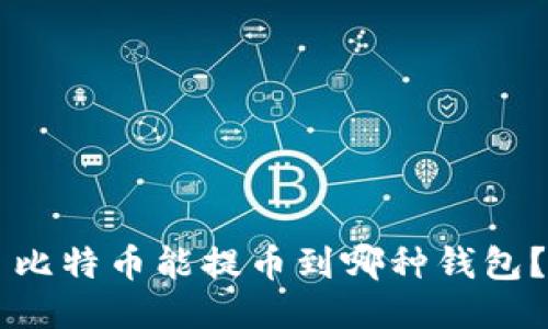 лина比特币能提币到哪种钱包？全面指南