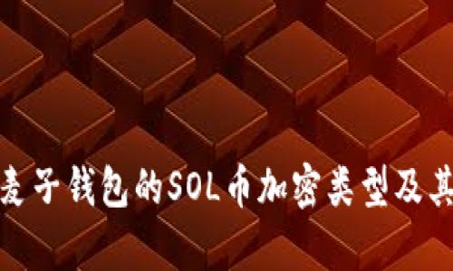 全面解析麦子钱包的SOL币加密类型及其使用价值