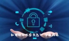 如何添加观察钱包TP：全面