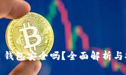 : 区块链网页钱包安全吗？全面解析与安全防护指南