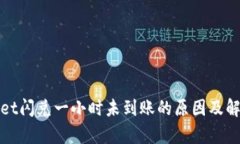 tpWallet闪兑一小时未到账的
